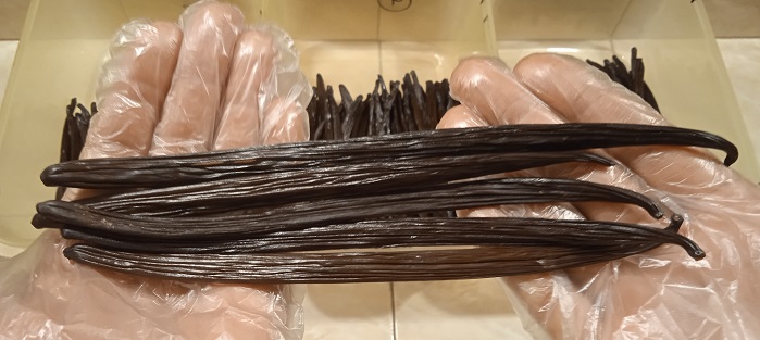 Giant gourmet grade dry vanilla beans from CV A.L. Purnama Indopanen